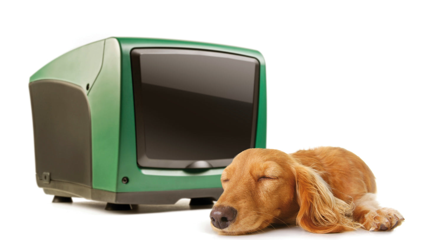 E.SYBOX Mini 3 115V/230V Booster Pump - up to 22GPM