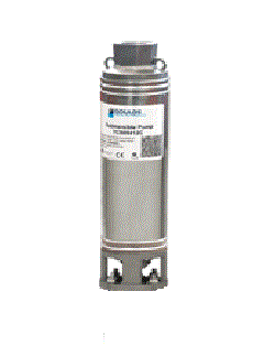 Goulds 13CS Pump End